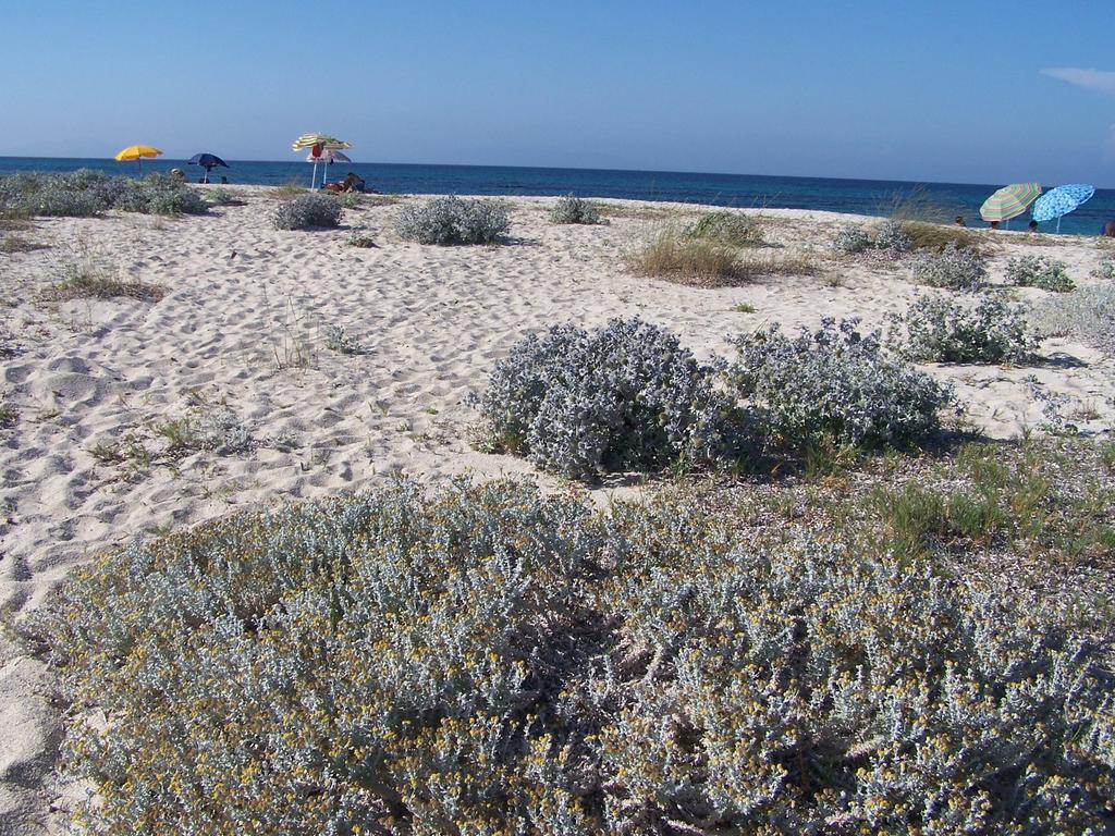 Agriturismo Cuile De Molino Porto Torres Εξωτερικό φωτογραφία