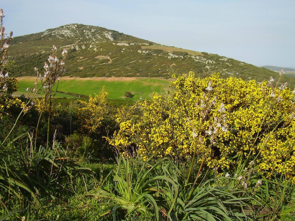 Agriturismo Cuile De Molino Porto Torres Εξωτερικό φωτογραφία