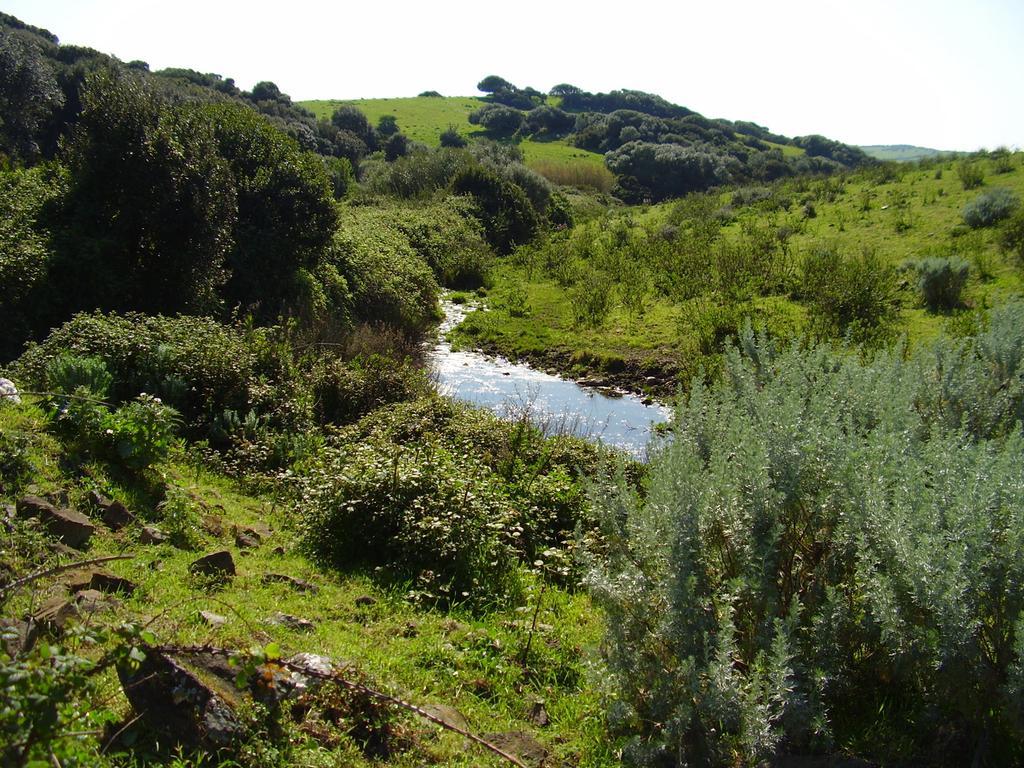 Agriturismo Cuile De Molino Porto Torres Εξωτερικό φωτογραφία
