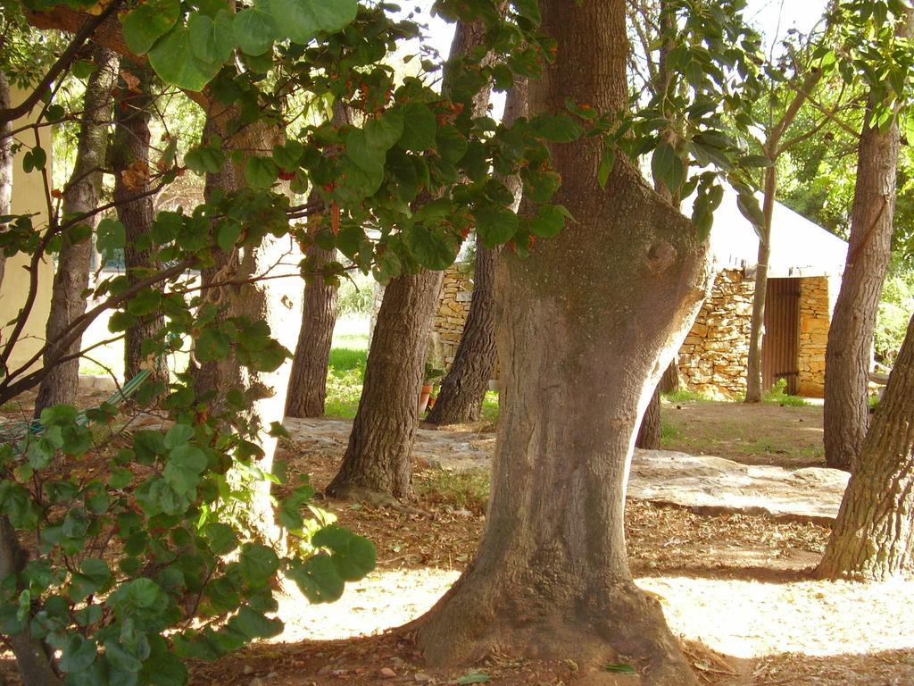 Agriturismo Cuile De Molino Porto Torres Εξωτερικό φωτογραφία