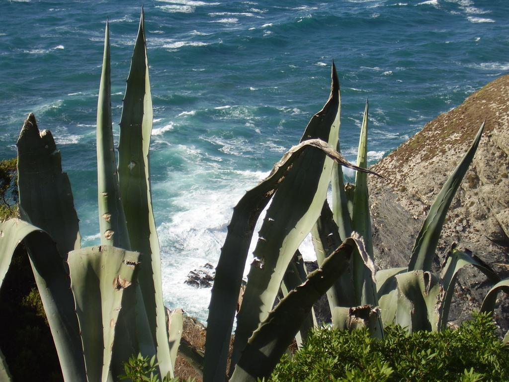 Agriturismo Cuile De Molino Porto Torres Εξωτερικό φωτογραφία