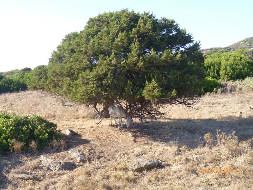 Agriturismo Cuile De Molino Porto Torres Εξωτερικό φωτογραφία